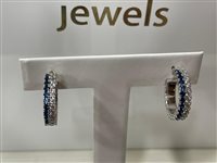 Orecchini Artlinea Donna in Argento Zircone ZOR1248/ZB-LB - ZOR1248/ZB-LB